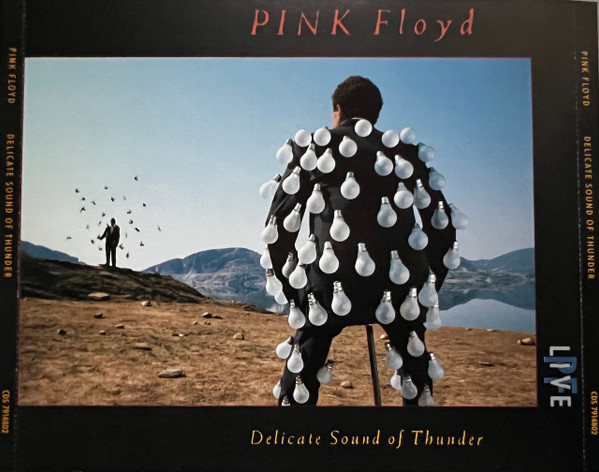  PINK FLOYD- DELICATE SOUND OF THUNDER 2LP VINILE EMI 2-62  7914801 - auction details