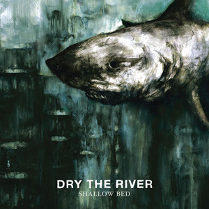 Dry The River – Shallow Bed (2012, Vinyl) - Discogs