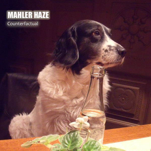 descargar álbum Mahler Haze - Counterfactual