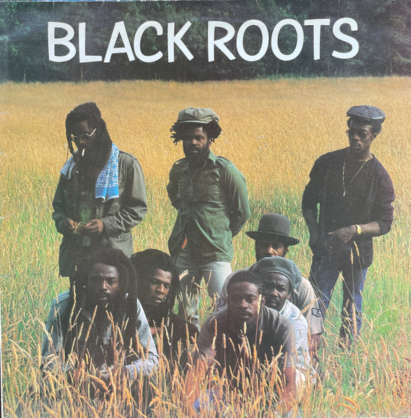 Black Roots – Black Roots (2013, silk screen cover, Vinyl) - Discogs