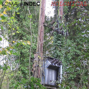 baixar álbum Soma + Indec - Holonical