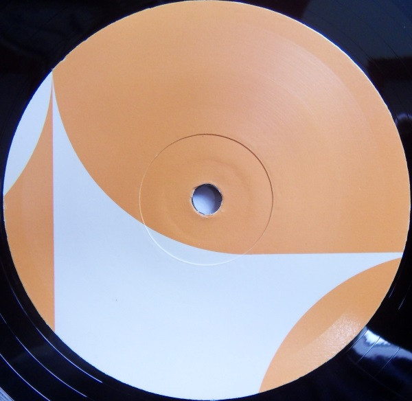 descargar álbum David Tort & Ruff Meet DJ Disciple - Changes