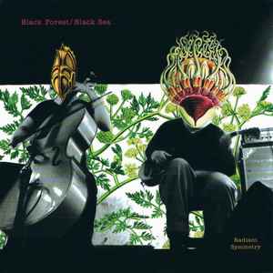 Black Forest / Black Sea - Radiant Symmetry album cover