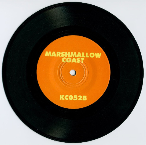 lataa albumi Of Montreal Marshmallow Coast - Archibald Of The Balding Sparrows