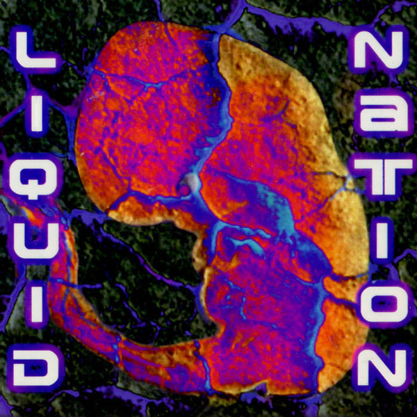 ladda ner album Liquid Nation - Liquid Nation
