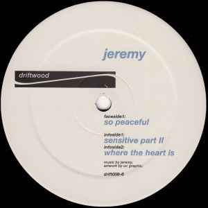 Jeremy – Semi-Structured Life (2002, Vinyl) - Discogs