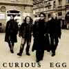 Curious Egg - Curious Eggs