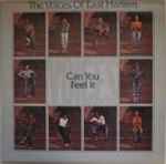 Cover of Can You Feel It, 1995, Vinyl