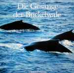 Cover of Die Gesänge Der Buckelwale, , Vinyl