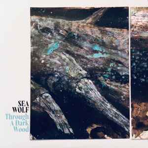 Sea Wolf - Through A Dark Wood album cover