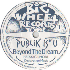 baixar álbum Publik Is H U - Beyond The Dream Being No One