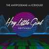The Antipodeans vs Icehouse - Hey Little Girl (Remixes)