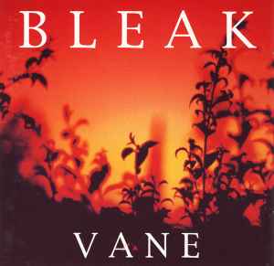 Bleak - Vane album cover