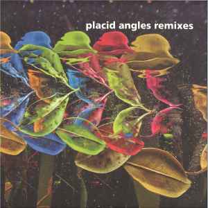 Touch The Earth Remixes - Placid Angles