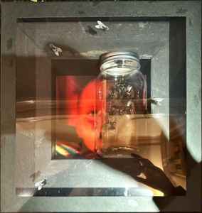 Alice In Chains - Jar Of Flies album cover