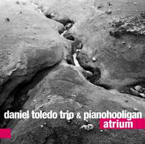 Daniel Toledo Trio - Atrium album cover