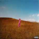 The Regrettes – Further Joy (2022, Pink, 140 gram, Vinyl) - Discogs