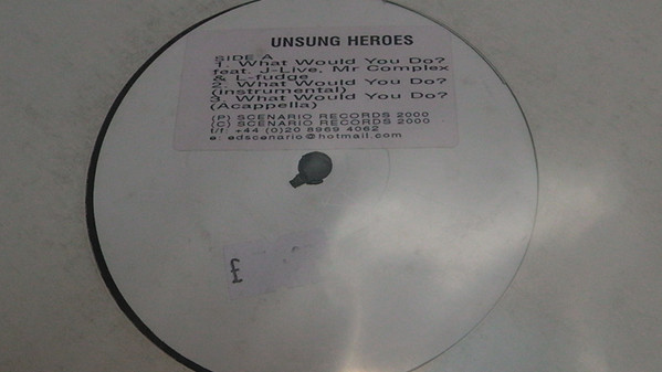 Unsung Heroes – What Would You Do? (2000, Vinyl) - Discogs