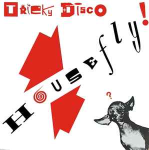 Tricky Disco - House Fly