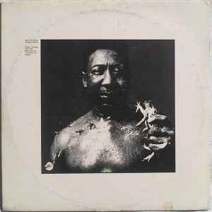 Muddy Waters - After The Rain album cover