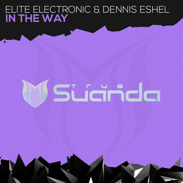 télécharger l'album Elite Electronic & Dennis Eshel - In The Way