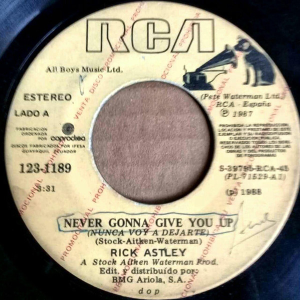 Rick Astley – Never Gonna Give You Up (1987, Vinyl) - Discogs