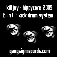 descargar álbum Killjoy BINT - GSR 1
