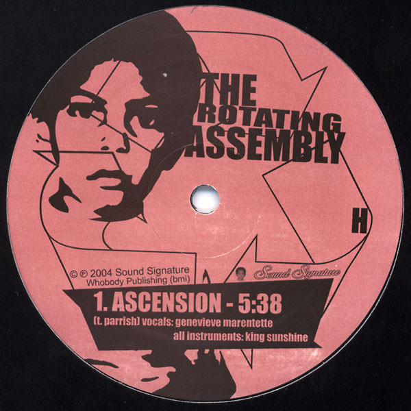 ladda ner album The Rotating Assembly - Natural Aspirations The 12 Series