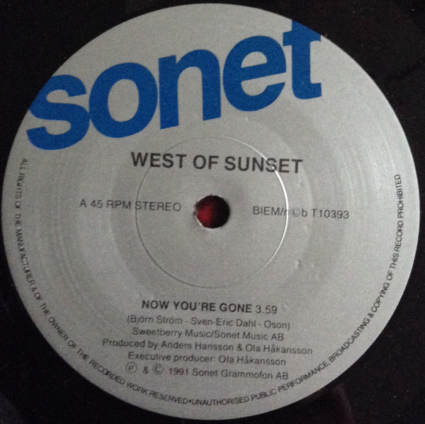 Album herunterladen West Of Sunset - Now Youre Gone