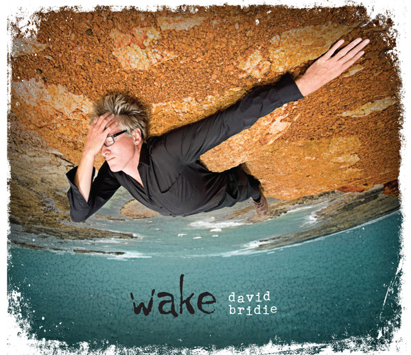 ladda ner album David Bridie - Wake