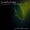 Genetic Dysfunction - Live improvisation @ les Caves du Manoir - CH - 2014.12.06 - Part02