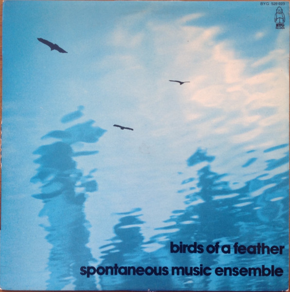Spontaneous Music Ensemble – Birds Of A Feather (2002, Vinyl 