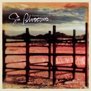 Gin Blossoms - Outside Looking In: The Best Of The Gin Blossoms album cover