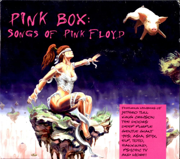 Pink Box: Songs Of Pink Floyd (2007, CD) - Discogs