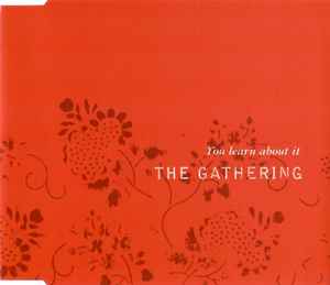 The Gathering - You Learn About It album cover