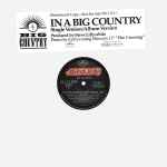 Cover of In A Big Country, 1983, Vinyl