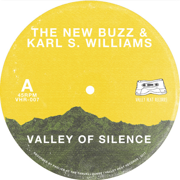 lataa albumi The New Buzz - Valley of Silence