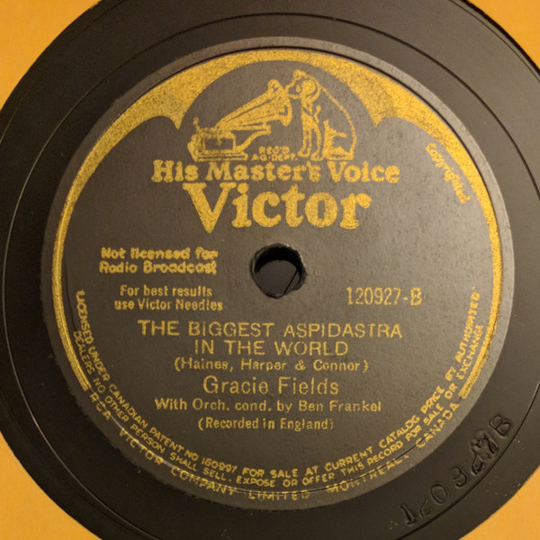 descargar álbum Gracie Fields - Land Of Hope And Glory The Biggest Aspidastra In The World