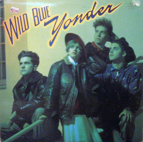 Wild Blue Yonder (1987, Vinyl) - Discogs