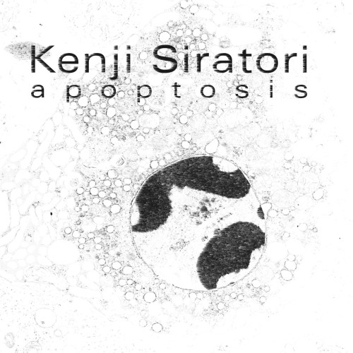 descargar álbum Kenji Siratori - Apoptosis