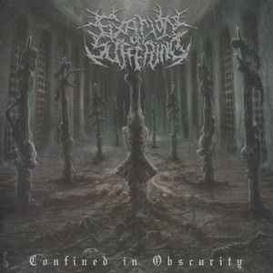 Fixation On Suffering - Confined In Obscurity
