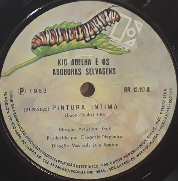 ladda ner album Kid Abelha E Os Abóboras Selvagens - Pintura Intima