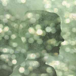 Benoit Pioulard – Lignin Poise (2017, Vinyl) - Discogs