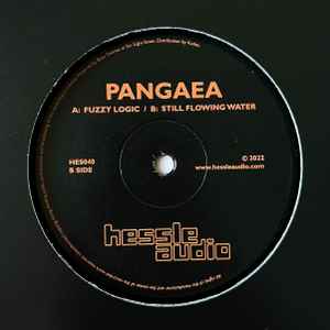 Pangaea – Like This (2020, Vinyl) - Discogs