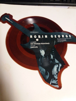 lataa albumi Robin George - Go Down Fighting