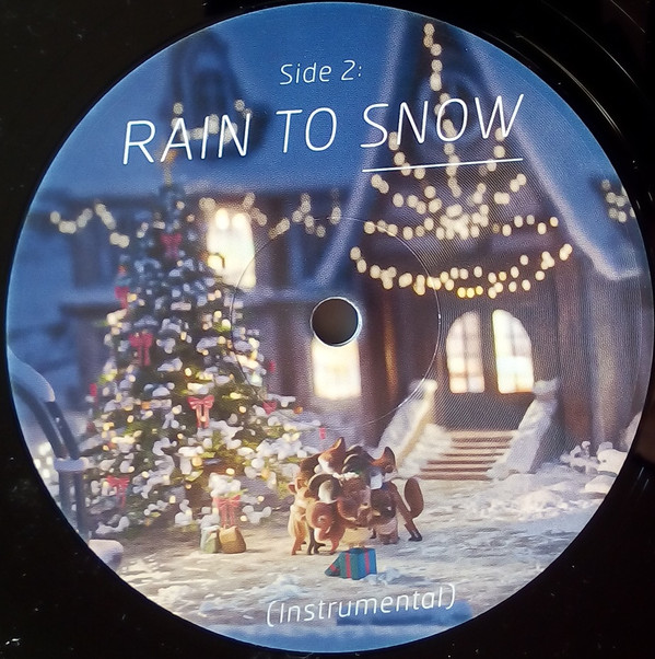 last ned album Alee Kinder - Rain To Snow