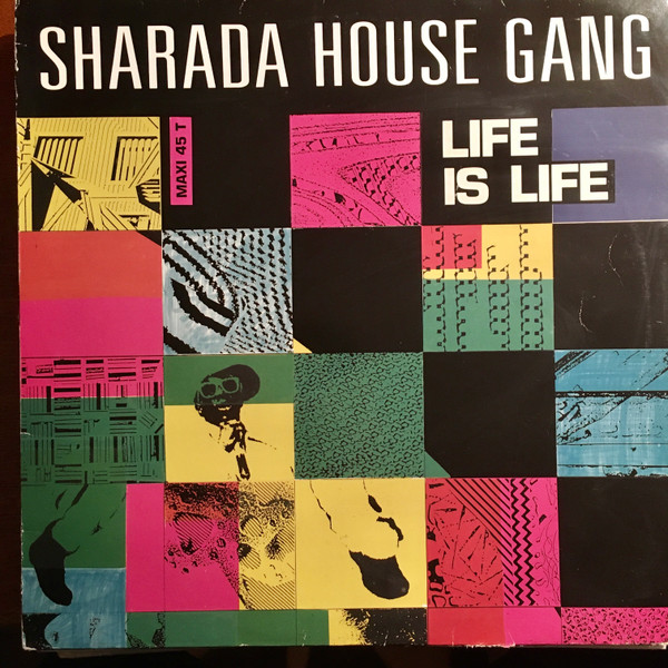 D.J. Professor Featuring Sharada House Gang - Life Is Life