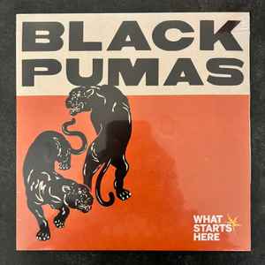 Pastor detalles ataque Black Pumas – Colors (2022, Vinyl) - Discogs