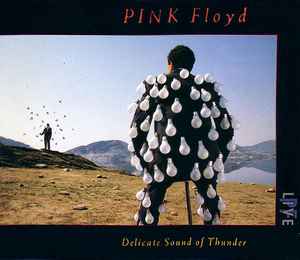 Pink Floyd - Delicate Sound Of Thunder album cover