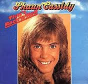 Shaun Cassidy – Shaun Cassidy (1977, Vinyl) - Discogs